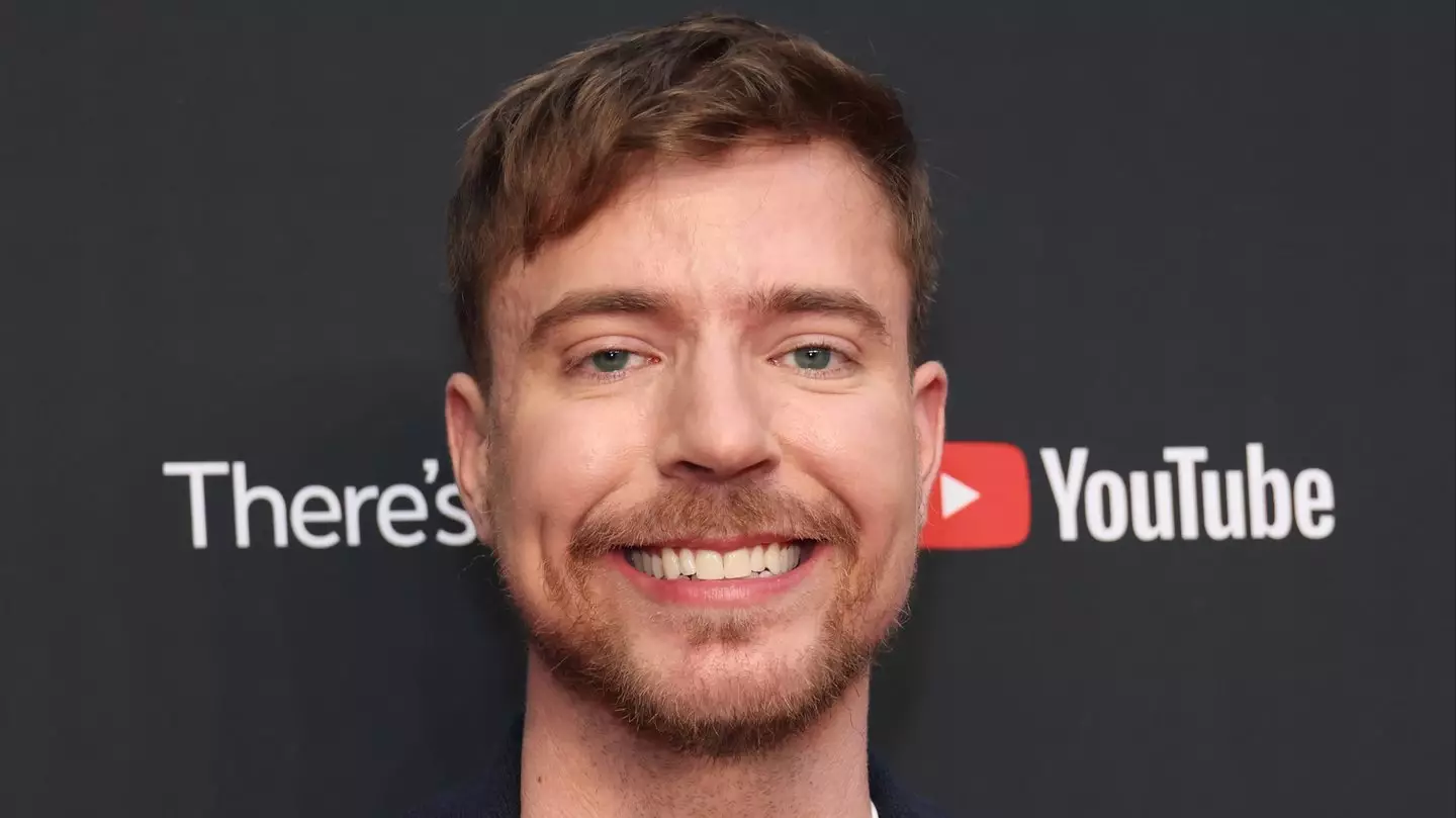 mr beast net worth
